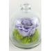 Стабилизированная роза в стекле (светло-фиолетовая) 